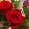 amandabou1030